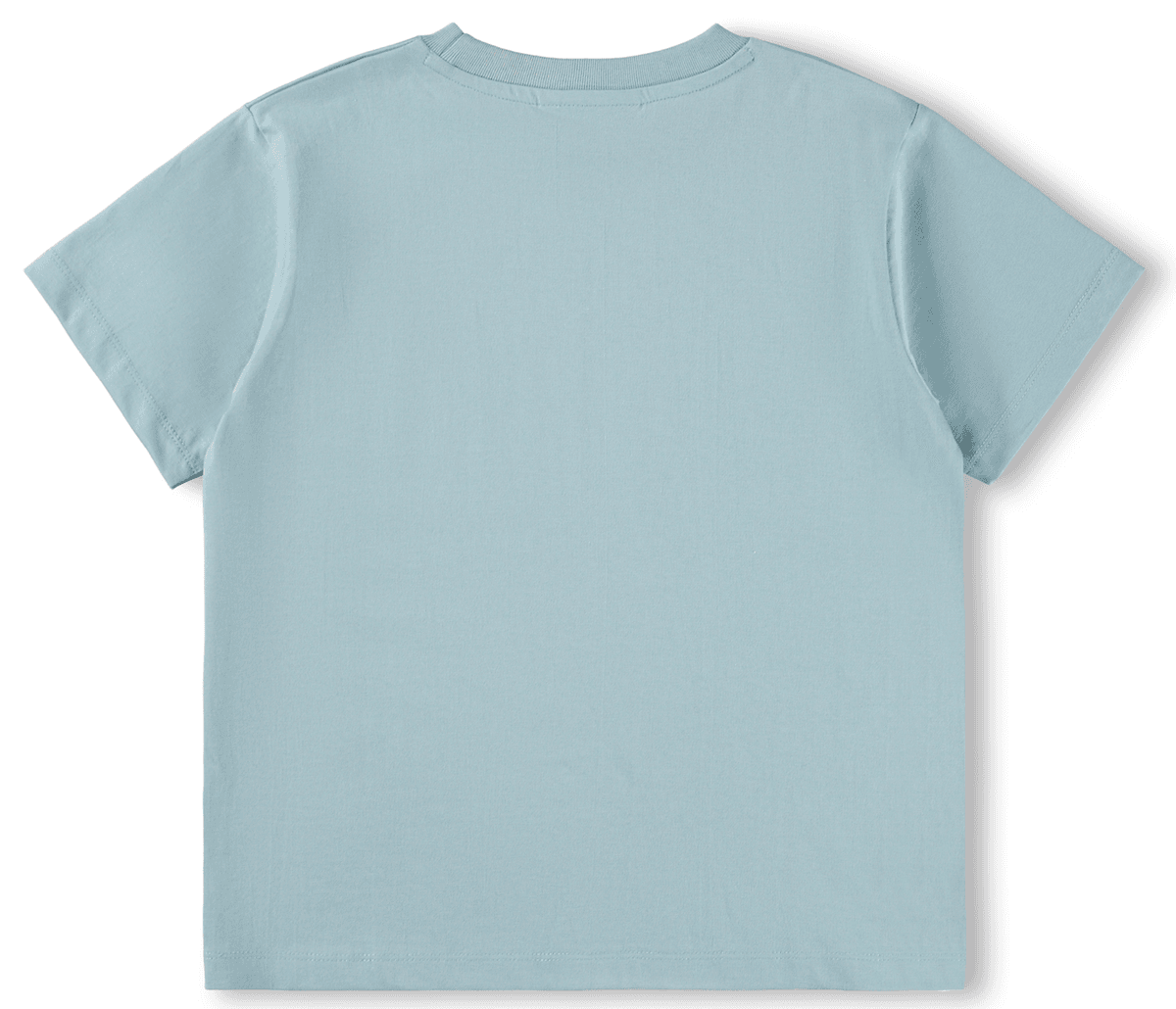 Molo T-skjorte Riley bluish surfer